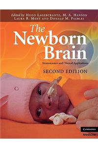 Newborn Brain