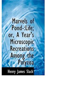 Marvels of Pond Life