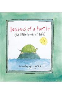 Lessons of a Turtle