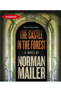 The Castle in the Forest