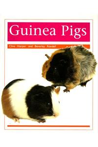 Pets: Guinea Pigs