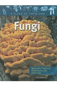 Fungi: Mushrooms, Toadstools, Molds, Yeasts, and Other Fungi