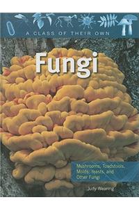 Fungi: Mushrooms, Toadstools, Molds, Yeasts, and Other Fungi