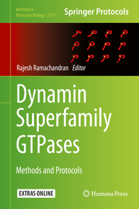 Dynamin Superfamily GTPases