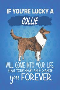 If You're Lucky A Collie Will Come Into Your Life, Steal Your Heart And Change You Forever
