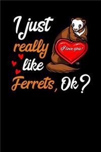 I Just Really Like Ferrets, Ok?