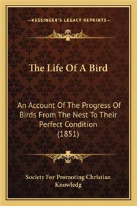 Life of a Bird: An Account of the Progress of Birds from the Nest to Their Perfect Condition (1851)