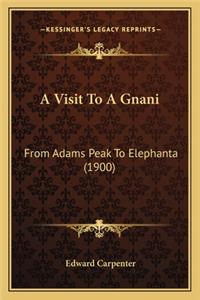 A Visit To A Gnani
