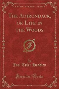 The Adirondack, or Life in the Woods (Classic Reprint)