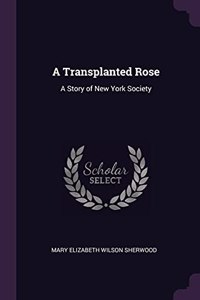 A Transplanted Rose