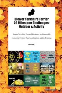 Biewer Yorkshire Terrier 20 Milestone Challenges