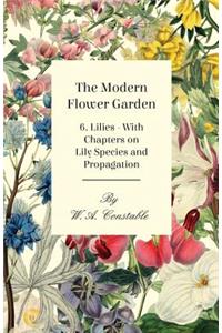 Modern Flower Garden - 6. Lilies - With Chapters on Lily Species and Propagation