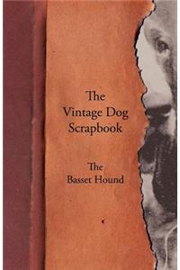 Vintage Dog Scrapbook - The Basset Hound