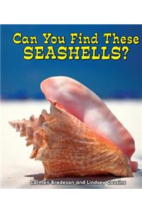 Can You Find These Seashells?