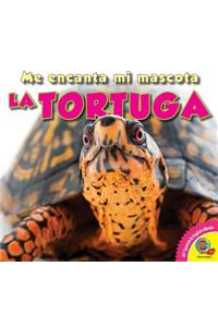 La Tortuga