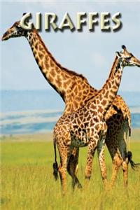 Giraffes