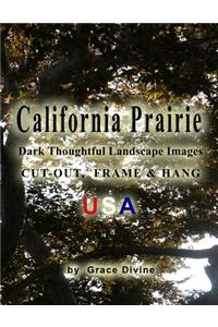 California Prairie Dark Thoughtful Landscape Images Cut-out, Frame & Hang USA