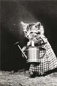 Mind Blowing Kitty Garden Journal