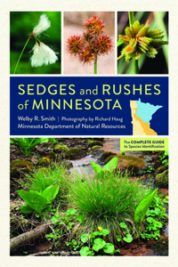 Sedges and Rushes of Minnesota