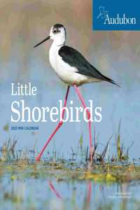 Audubon Little Shorebirds Mini Wall Calendar 2023