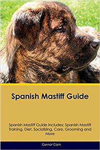 Spanish Mastiff Guide Spanish Mastiff Guide Includes: Spanish Mastiff Training, Diet, Socializing, Care, Grooming, Breeding and More