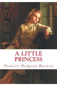 Little Princess (Large Print)