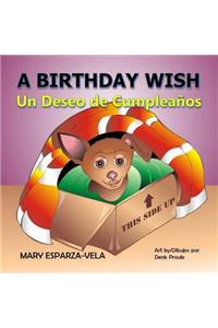 Birthday Wish/Un Deseo de Cumpleanos