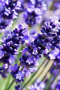 Lots of Lovely Lavender Journal