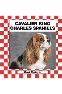 Cavalier King Charles Spaniels