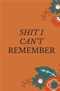 Shit I Can't Remember
