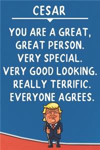 Cesar You Are A Great Great Person Very Special