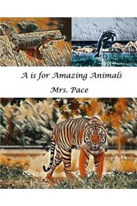 A is for Amazing Animals