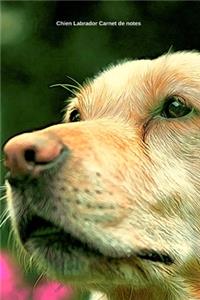 Chien Labrador Carnet de notes