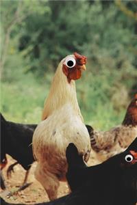 Googly Eye Chicken Journal