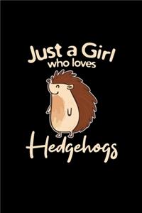 Just a girl who loves hedgehogs