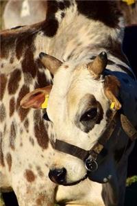 Bashful Zebu Cow Journal