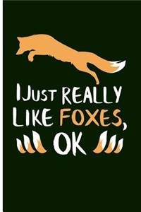 I Just Really Like Foxes, Ok