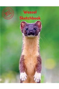 Weasel Sketchbook
