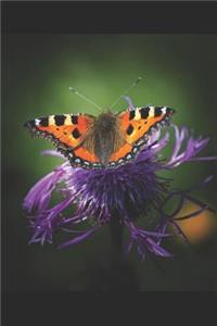 Butterfly Journal