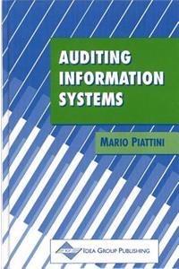 Auditing Information Systems