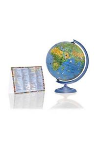 Activity Illuminated Globe