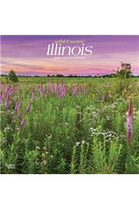 Illinois Wild & Scenic 2020 Square