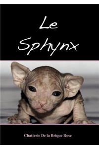 sphynx