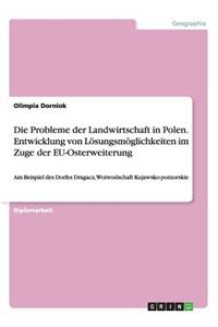 Probleme der Landwirtschaft in Polen. Entwicklung von Lösungsmöglichkeiten im Zuge der EU-Osterweiterung