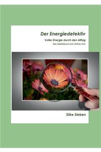 Der Energiedetektiv