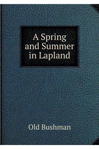 A Spring and Summer in Lapland
