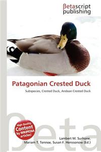 Patagonian Crested Duck