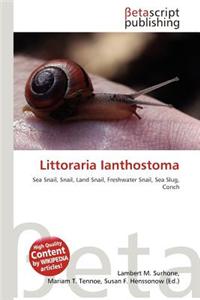 Littoraria Ianthostoma