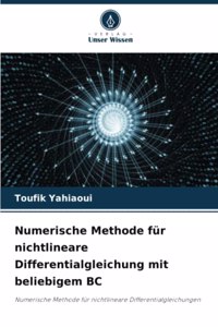 Numerische Methode für nichtlineare Differentialgleichung mit beliebigem BC