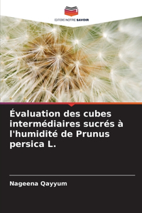 Évaluation des cubes intermédiaires sucrés à l'humidité de Prunus persica L.